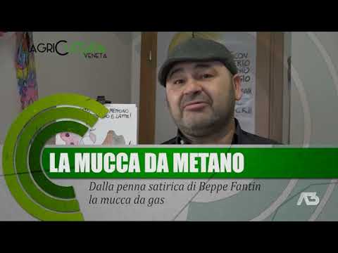 AGRICULTURA VENETA  | 30/01/2022 20:07