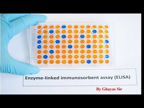 Eleyas Lab ELISA Technique simplified by Ghayas sir - YouTube