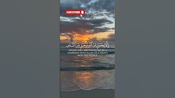 تلاوة خاشعة من سورة آل عمران – لن يضروكم إلا أذى | #راحة_نفسية #quran  #القرآن_الكريم