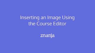 Inserting an Image Using the Course Editor