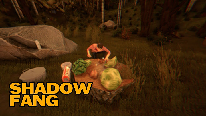 ADA YANG ANEH DI HUTAN INI - Shadow Fang