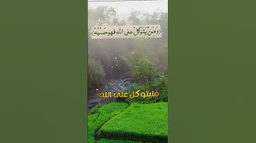 ومن يتوكل على الله فهو حسبة🥺❤|حالات واتس اب قرآن|حالات واتس عن التوكل| سورة الطلاق |Quran status