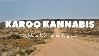 Karoo KANNABIS. Outdoor Grow Sept 2025 