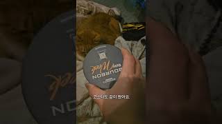 #페르노리카 #제퍼슨 #버번위스키 의문의 홍보물 어따 써야할까…