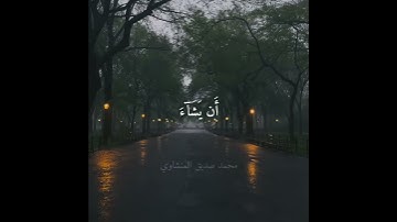 سورة الكهف آية  23-24 بصوت المشاوي