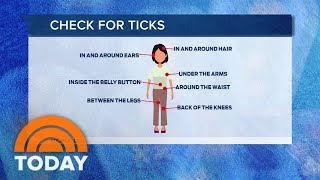 How to protect yourself from the heat, ticks, more this summer