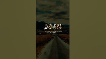 |فاذكروا آلاء الله | القارئ : رعد الكردي | تلاوة هادئه تفيض جمالاً أرح بها بالك ومسمعك ❤️