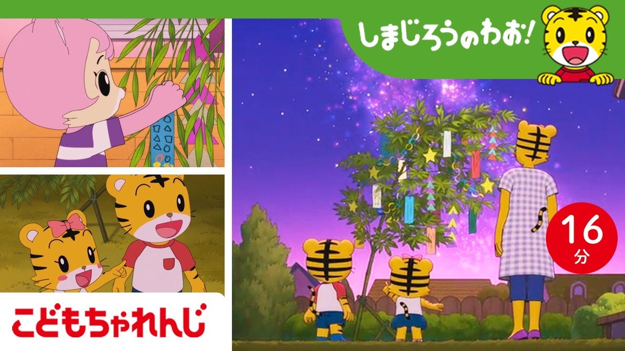 【16分アニメ】七夕で なにをおねがいする？☆ | 夢をもつ・家族を想う | しまじろうのわお！アニメ | しまじろうチャンネル公式