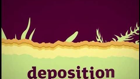 Forming Sedimentary Rocks