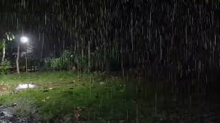 Rain in the Village ||  Nighttime Rainfall with Thunder and Lightning