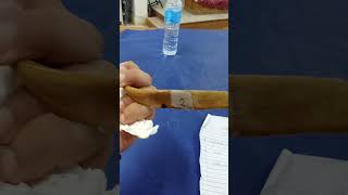 Typical rib bone