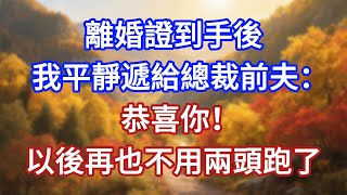 離婚證到手後,我平靜遞給總裁前夫:恭喜你!以後再也不用兩頭跑了
