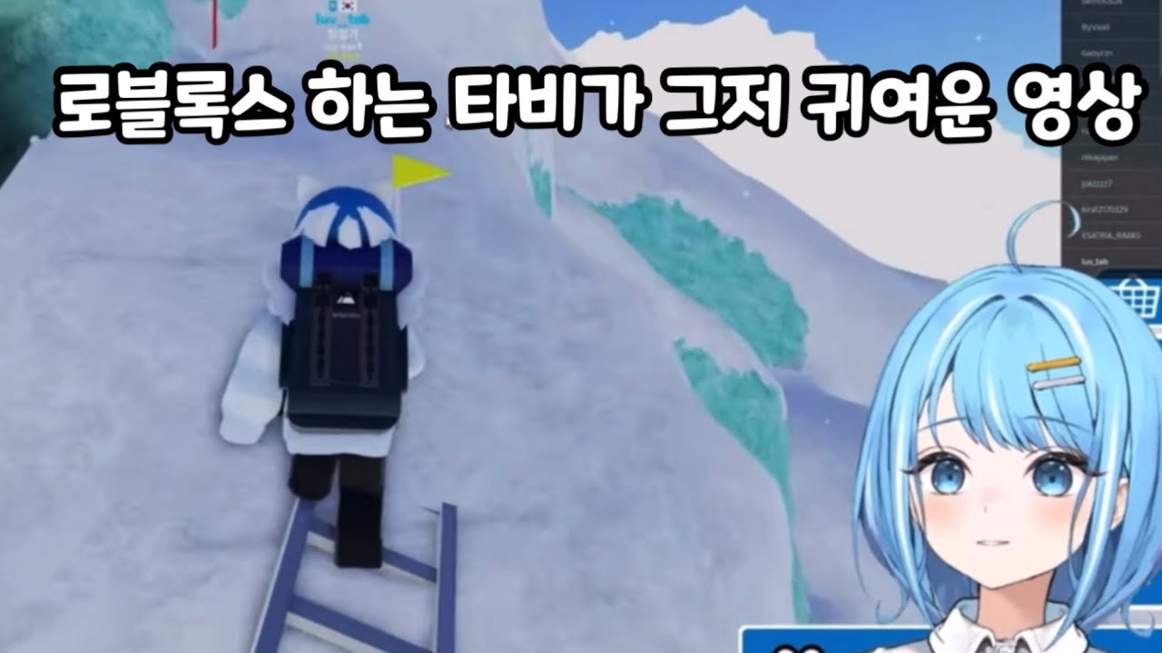 로블록스 하는 타비가 그저 귀여운 영상 [아라하시 타비]