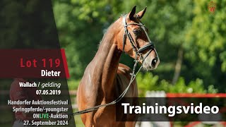 Auktionsfestival Training Lot 119 Dieter Wallach v. Dallas VDL - Last Liberty