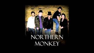 Video thumbnail of "Northern Monkey - Last Train To Freedom (Original - Studio)"