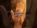 ایران پر میگیره آزادی در راه است      