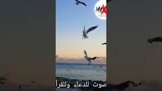 أحلى صوت ممكن تسمعه للقراءن والدعاء ..️️