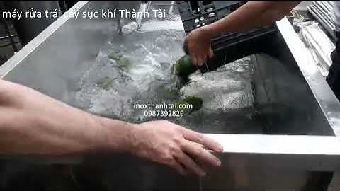 Máy rửa trái cây  băng tải sục khí  Thành Tài, Máy rửa trái cây công nghiệp