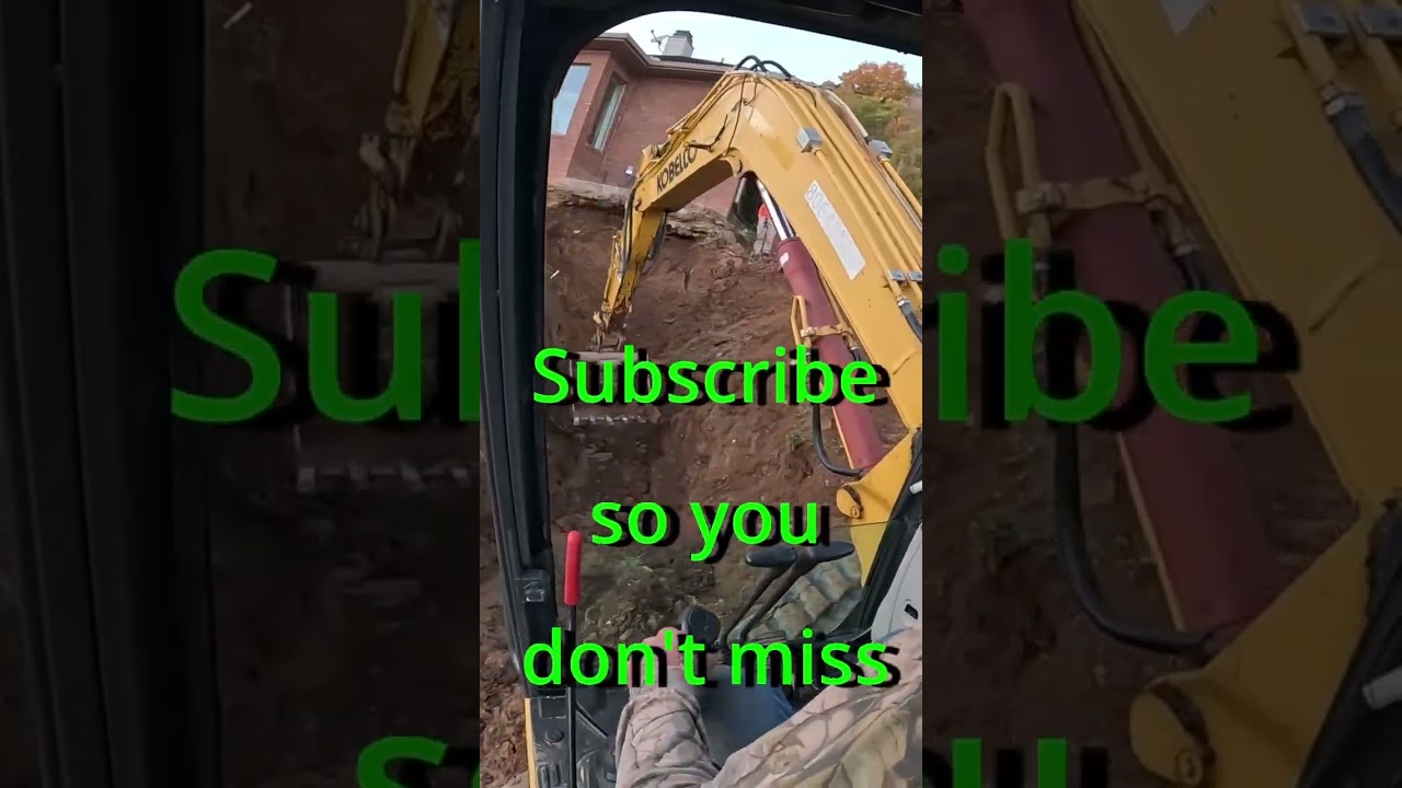 can we save this house short 