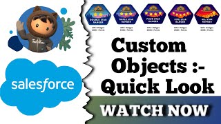 Custom Objects Quick Look | Salesforce Trailhead | Quiz Solution