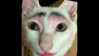 Download Lagu MaMA Qami SyudAh pulang MaNA JanJiNya cuCur ADaBi yAnG Enak MP3