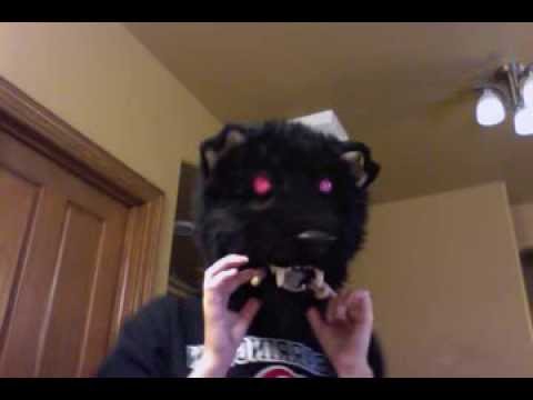 Hellhound/chow/fuudog head for SALE