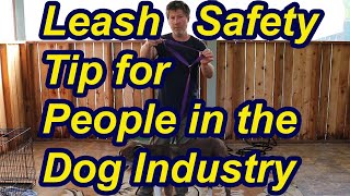 Leash safety tip for people in the dog industry by My Dog Training Spot 586 views 2 years ago 3 minutes, 7 seconds