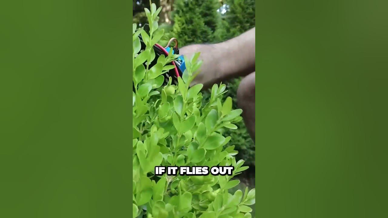 Dangerous mini hedge trimmer hack hacks diy electroboom viral hedgetrimmer YouTube
