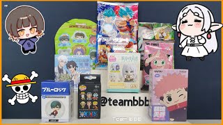 Anime Unboxing Haul 17 Frieren Jjk Blue Lock One Piece Demon Slayer Dragonball Spy X Family