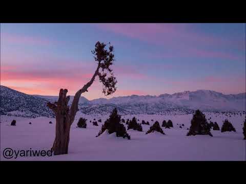 Bahramji ft Elea Dancing Blossoms Sidereal Video
