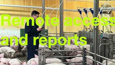 NutriSort — Automatic Sorting for Market-Ready Pigs