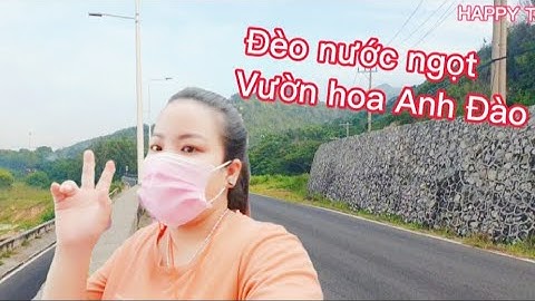 ☕☕☕BUỔI SÁNG Ở ĐÈO NƯỚC NGỌT VÀ 💐💐💐VƯỜN HOA ANH ĐÀO TẠI LONG HẢI
