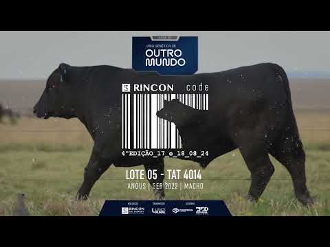 LOTE 05   TAT 4014 Angus