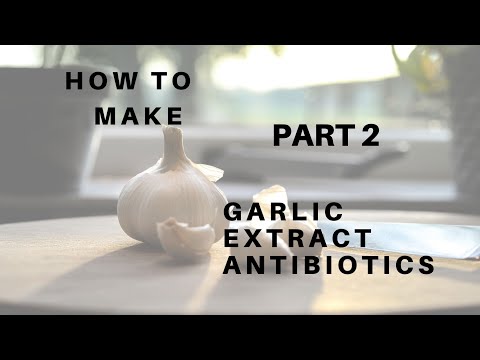 How to make Garlic Extract Antibiotics  part 2