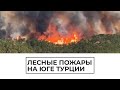 Лесные пожары на юге Турции