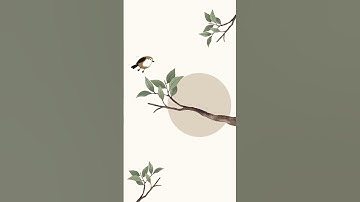 Sparrow Rigging Animation