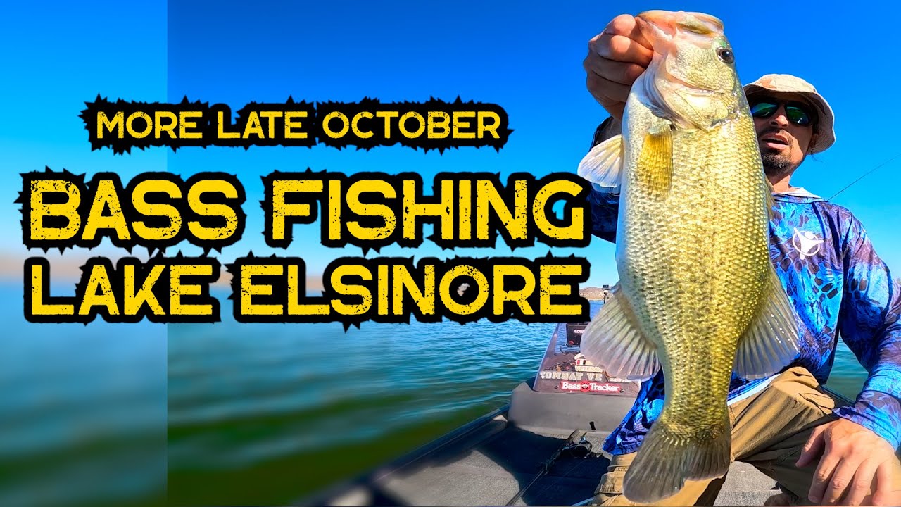 More Bass Fishing Lake Elsinore Late October 2025 #fishing #bassfishing #october