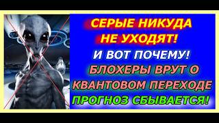 Серые никуда не уходят, и вот почему,  блогеры врут о квантовом переходе, страшный прогноз сбывается