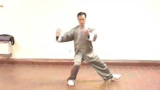 Chen Style Tai Chi Laojia Yilui by Master Fu Nengbin