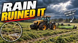 We Took a Gamble… And Lost the Entire Second Cut Crop