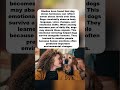 WHY Dogs Mirror Human Anxiety