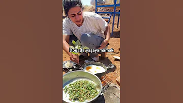 Fratkmru 2025 Mardin Village Vineyardhouse 