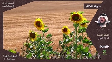 سورة التكاثر  |  القارئ د زياد العبادي