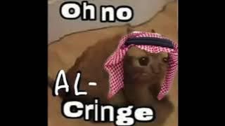 Cringe cat compilation
