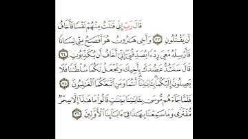 سورة القصص 13 القسم الثالث عشر تكرار كيفي من .. قال رب إني قتلت منهم .. إلى .. الأولين