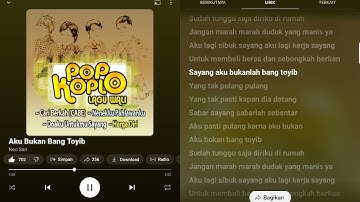 Neo Sari - Aku Bukan Bang Toyib
