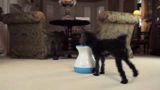 iFetch Family of Products  iFetch, iFetch Too and iFetch Frenzy!