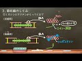 高校生物　64. 筋肉の構造と筋収縮