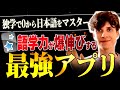 【保存版】私の日本語力が爆伸びしたフラッシュカードの作り方、全部見せます