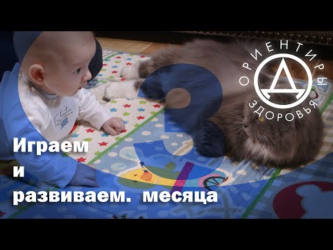 Видео: Ориентир - жълта спирала